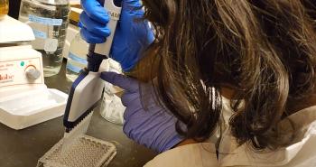 Pierce student performing ELISA