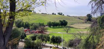 Pierce College Farm