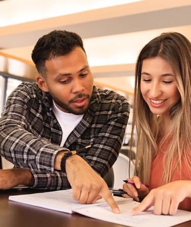 Students studying together
