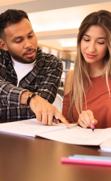 Students in a Library