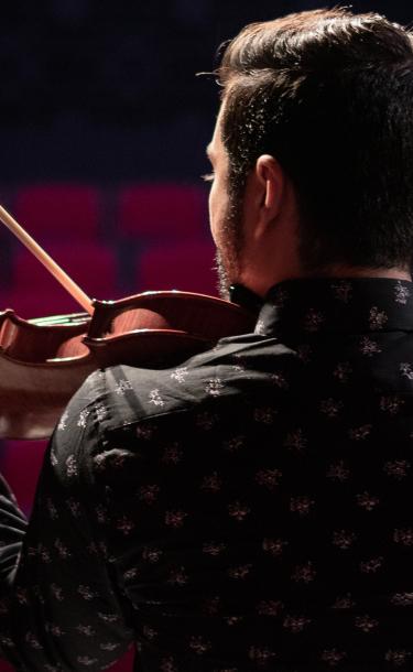 Violinist Perfomance
