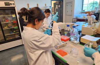 An image of biotech students doing molecular biology experiment.