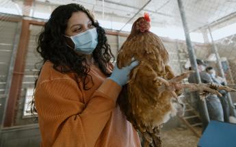 Student Holding a Hen