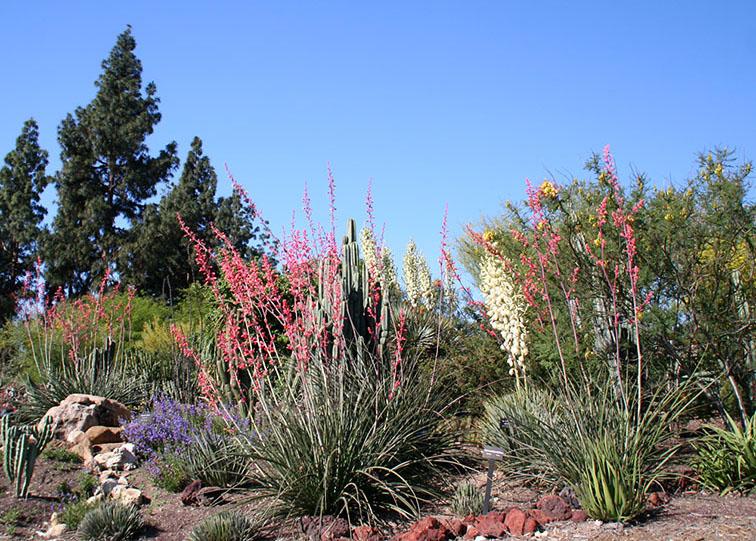 S. Mark Taper Foundation Botanical Garden