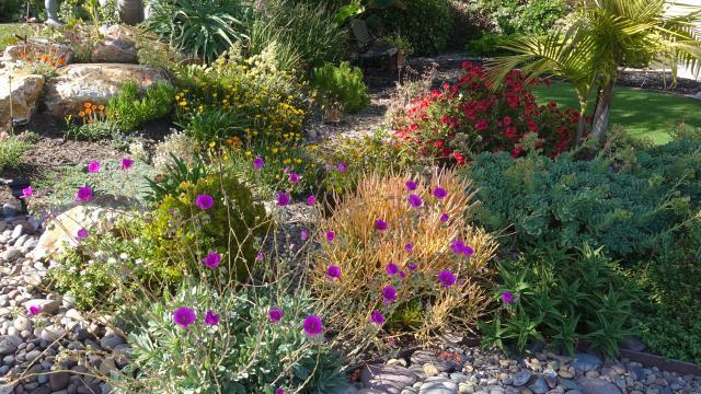 CA Friendly Landscape