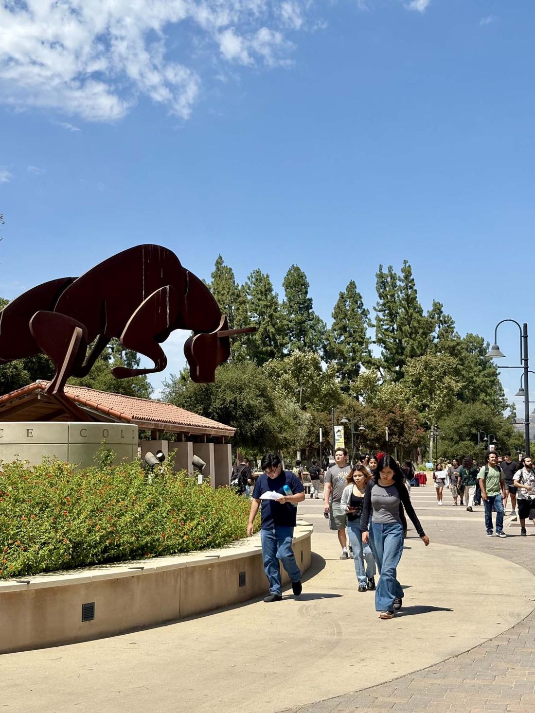 students walking by bull