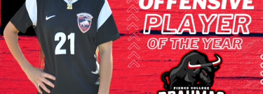 Poster of Student Athlete