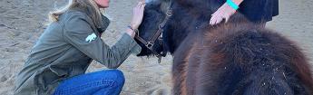 CA First Partner petting a mini horse