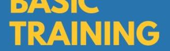 basic training logo