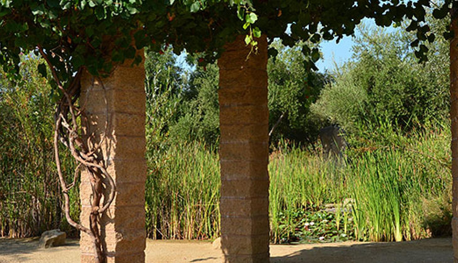 Structures Surrounded by Nature