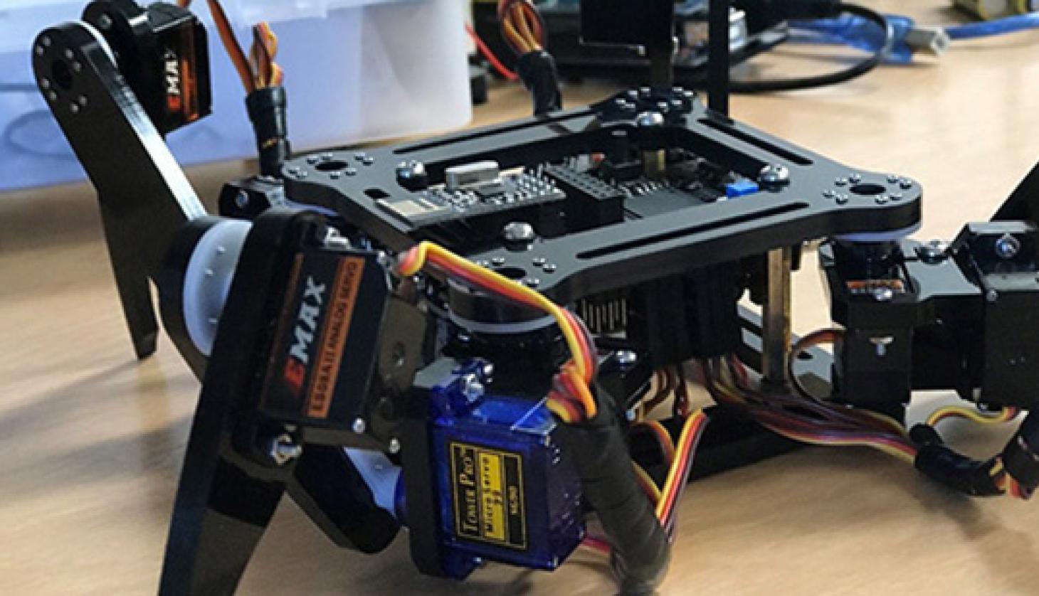 Quadruped Robot