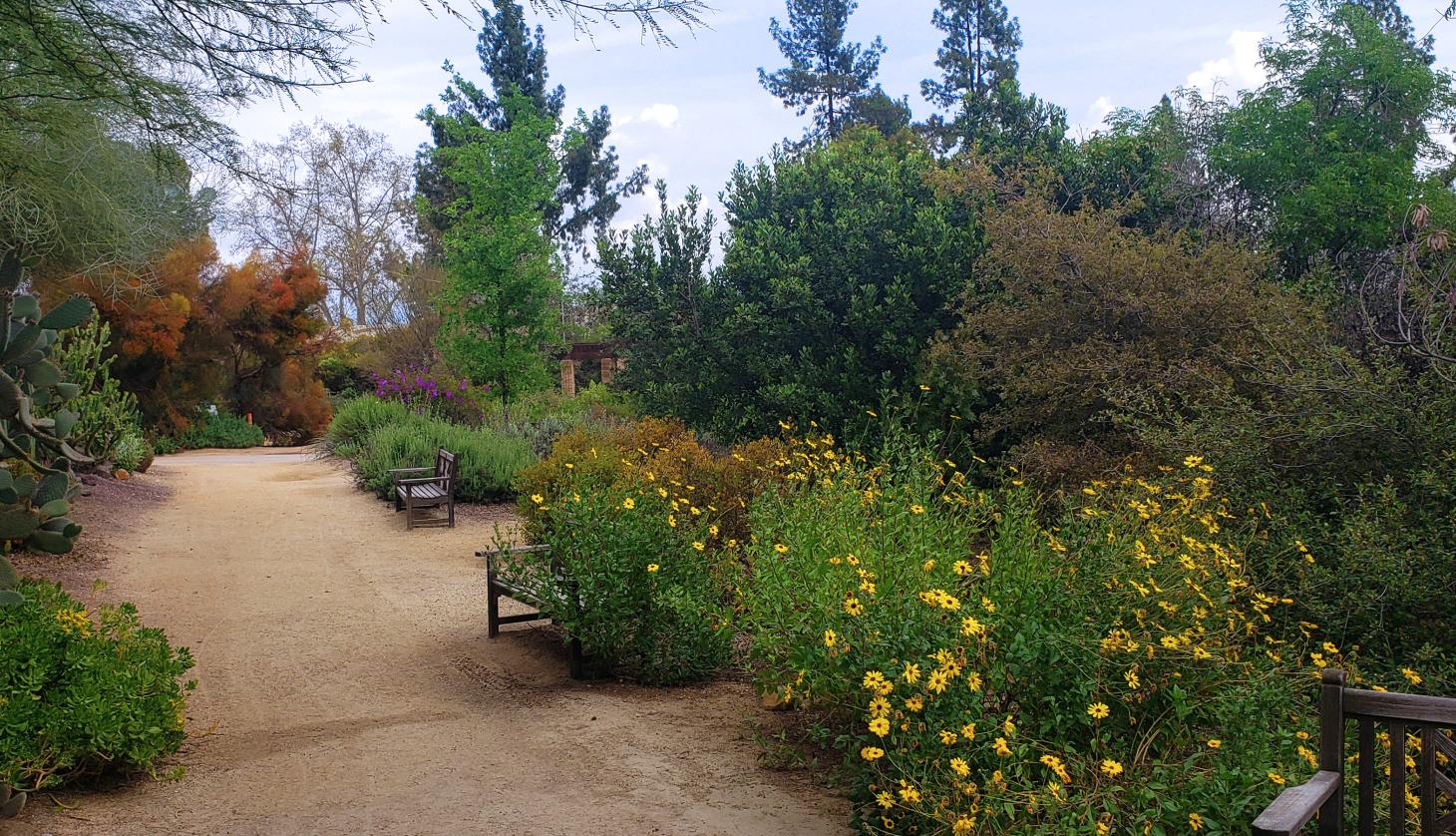 College Botanical Garden 