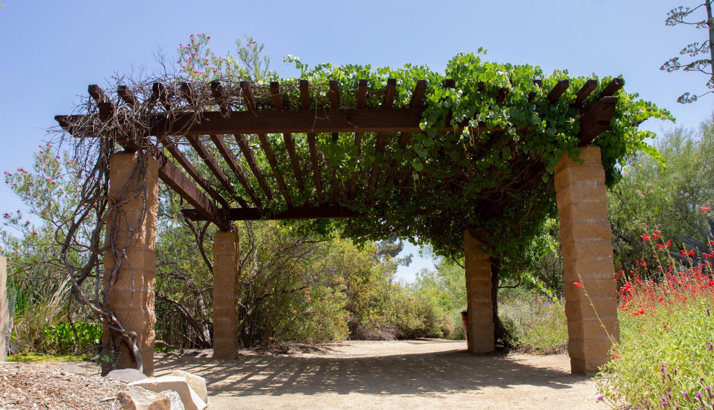 Botanic Garden